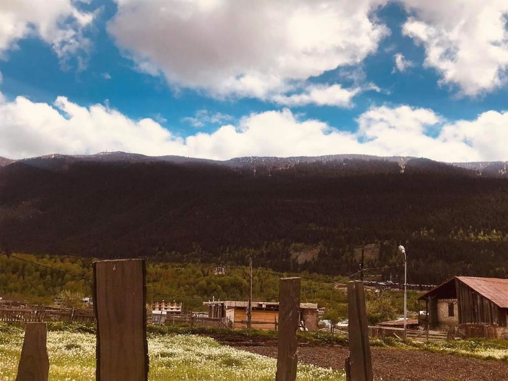 Дома для отпуска Nugzar Holiday Home Местиа